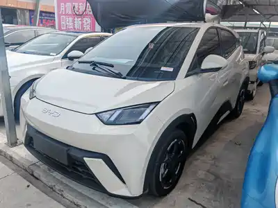 BYD Seagull