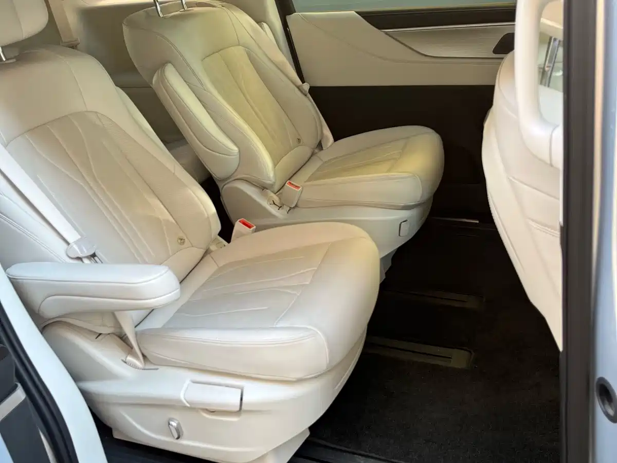 Buick GL8 New Energy 2024 2024 Landglory Smart Enjoy Edition 7-Seater