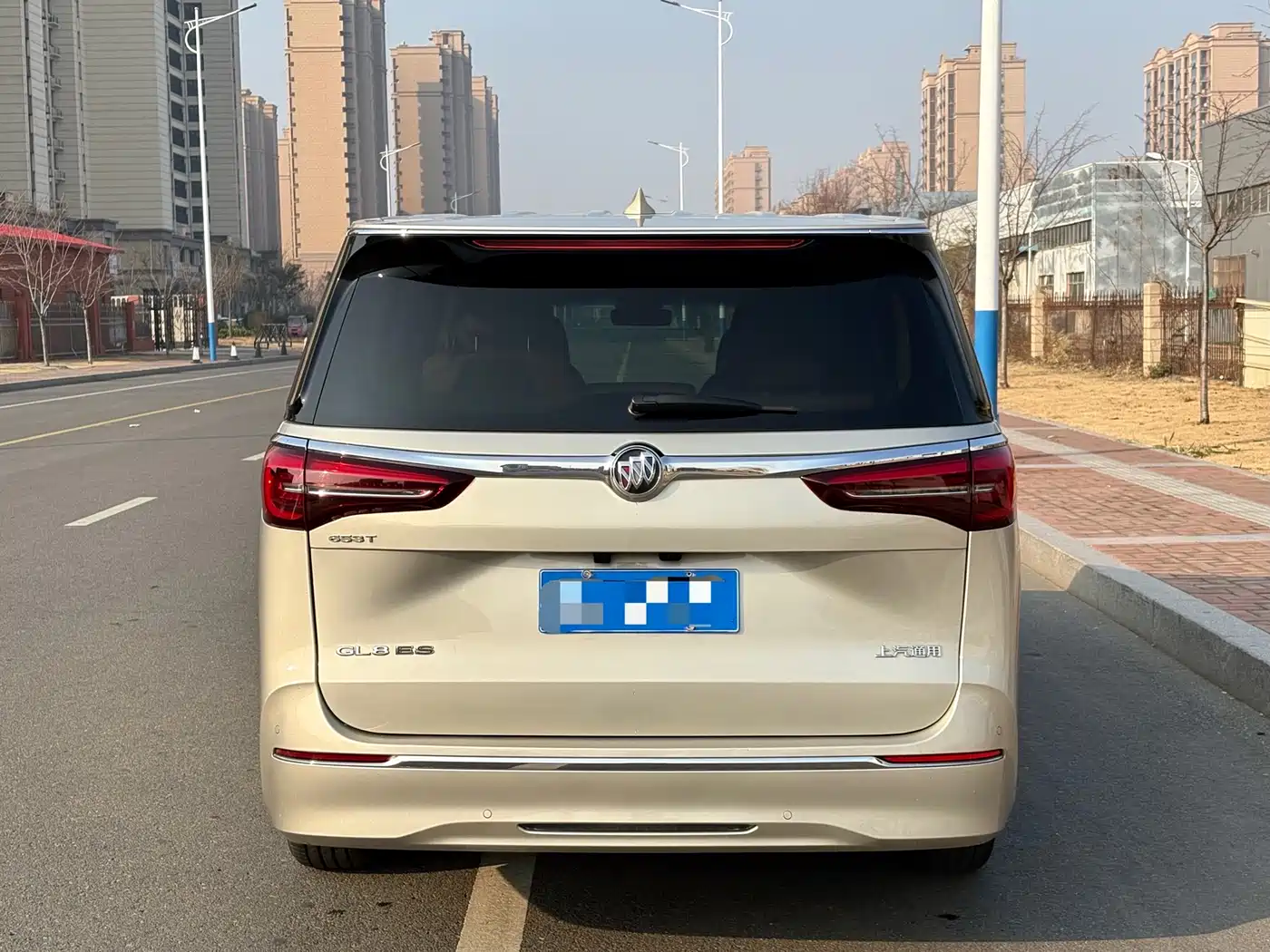 Buick GL8 2020 Model ES Landglory 653T Premium фото 3