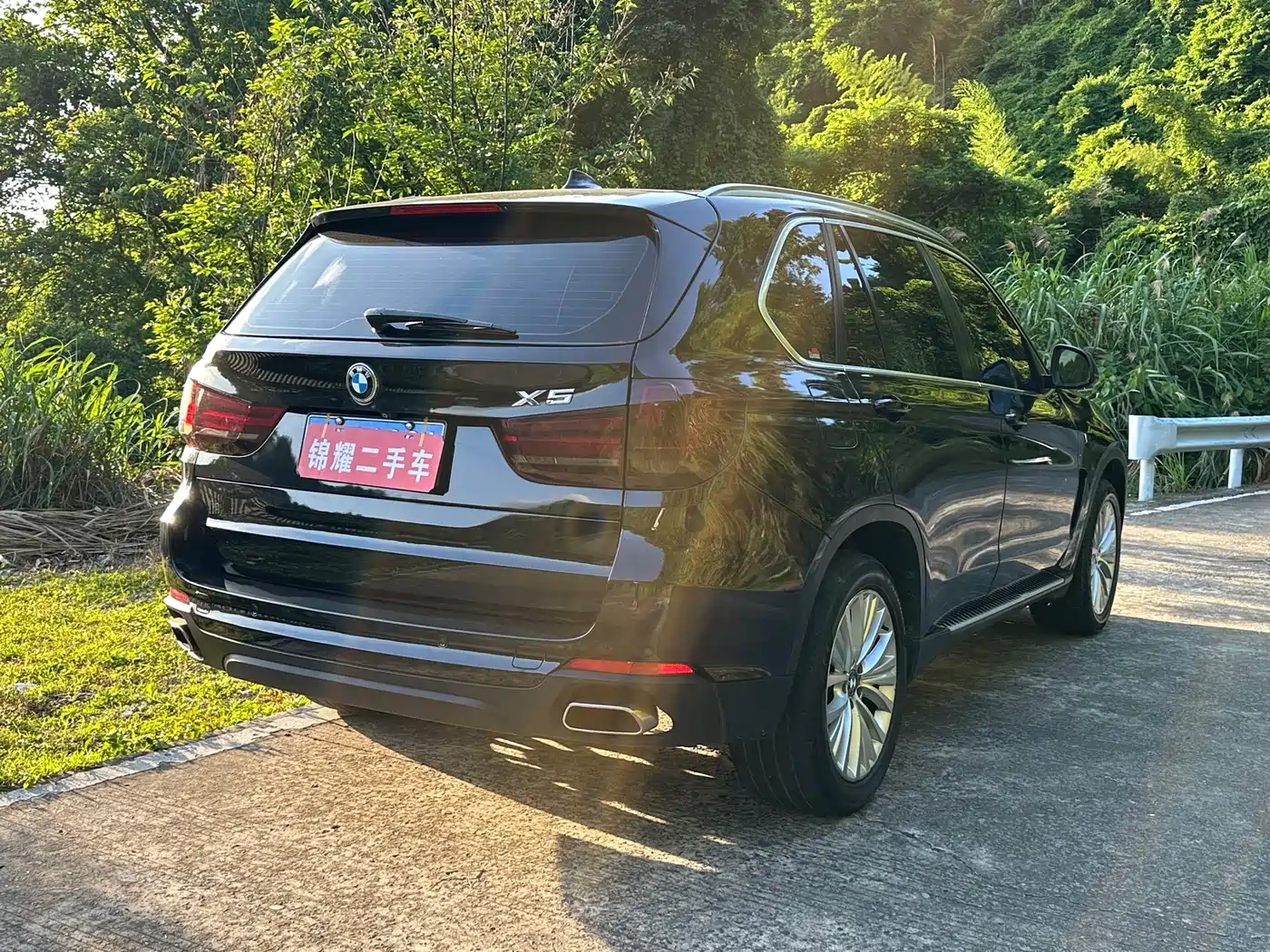 BMW X5 (Import) 2014 xDrive35i Leading фото 7