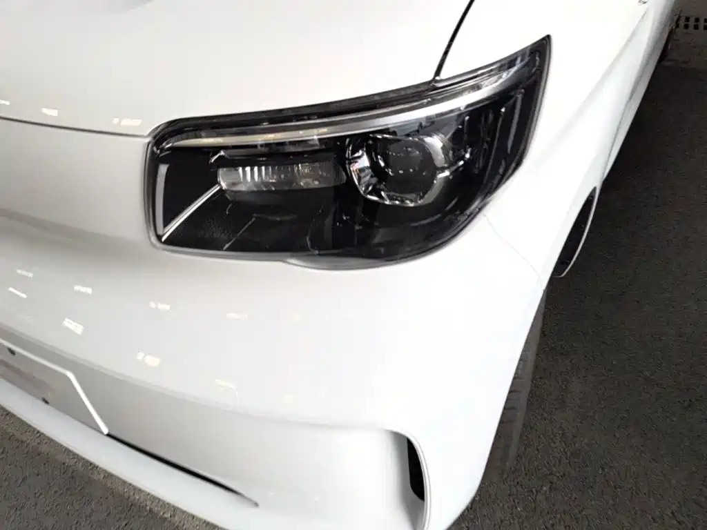 Wuling Motors Wuling Zhiguang NEV 2026 2025 Model 305km Base Version