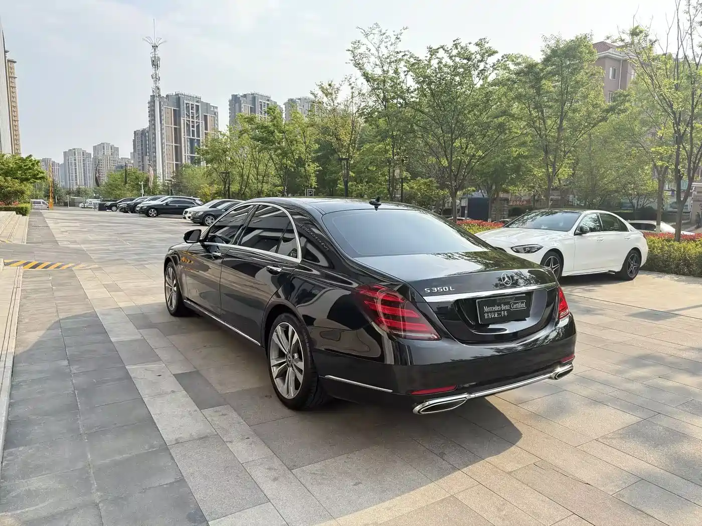 Mercedes-Benz S-Class 2020 S 350 L Premium Edition Collector's Version фото 9
