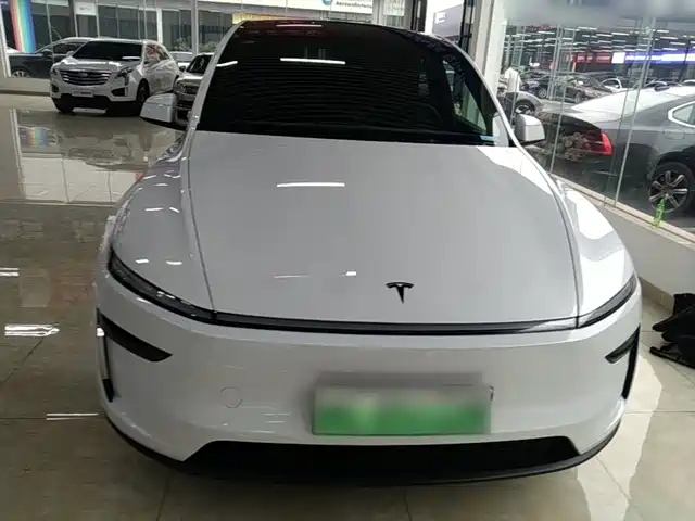 Tesla Model Y L, фото 3