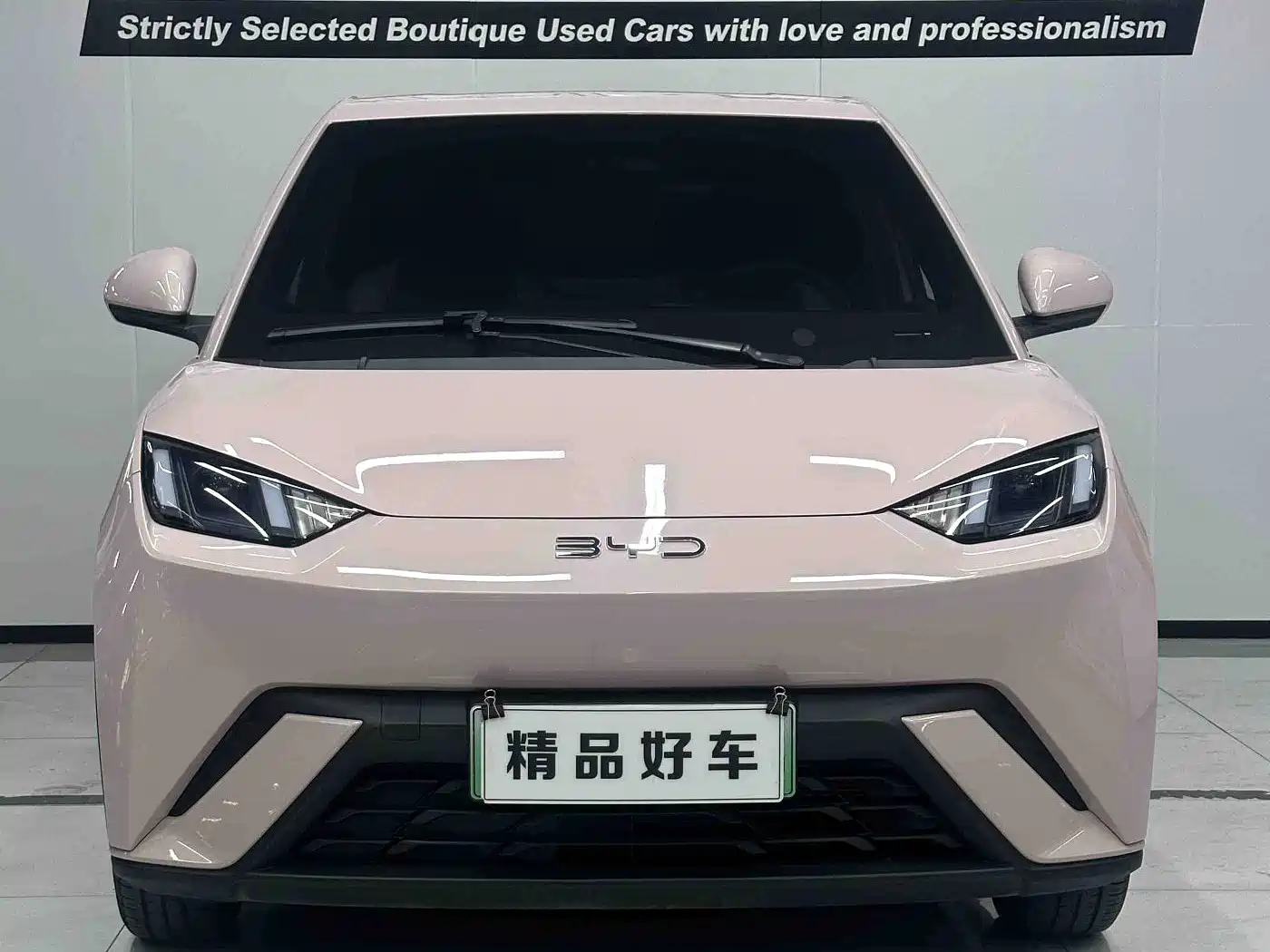 BYD Seagull 2023 Freedom Edition фото 2
