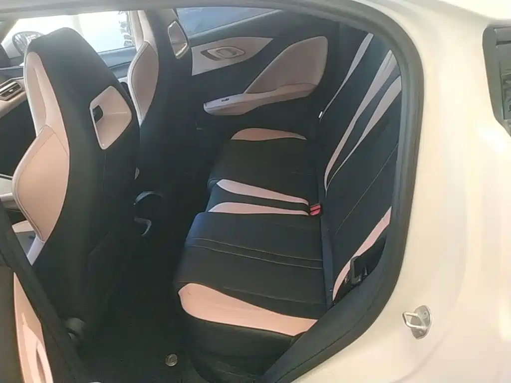 BYD Seagull 2026 2025 Smart Drive Edition 305km Vitality Version