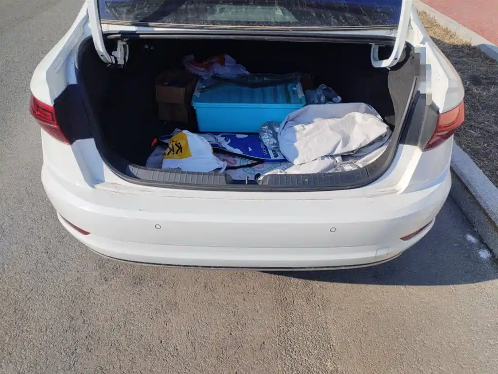 Volkswagen Sagitar 2019 200TSI DSG Comfort Version China V фото 10