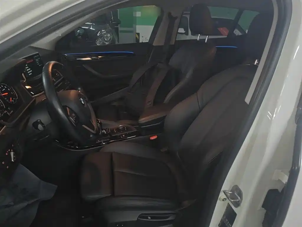 BMW X2 (Import) 2019 sDrive20i M Off-Road Package China VI фото 15