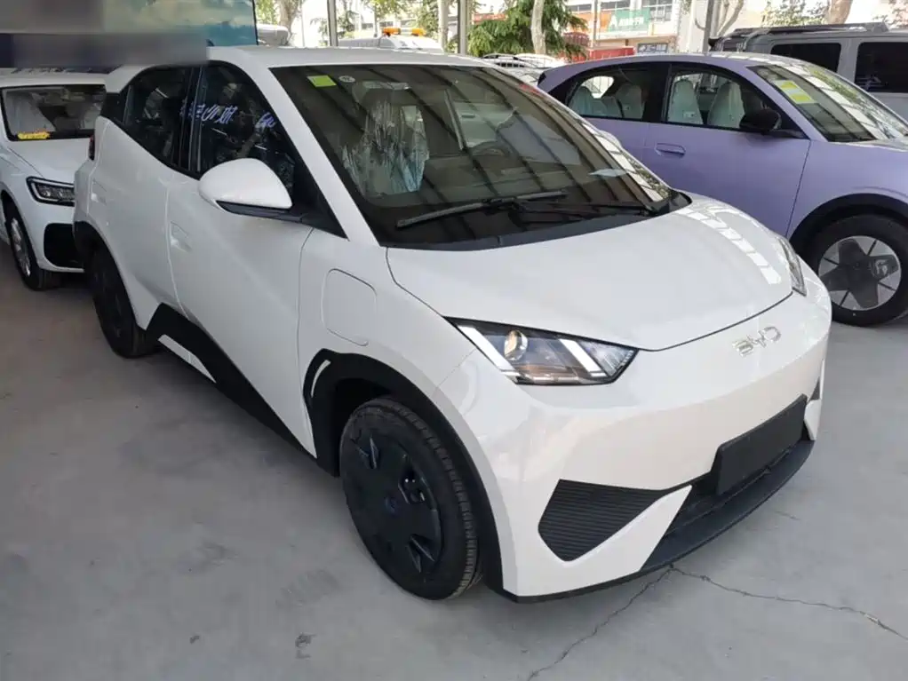 BYD Seagull 2025 Smart Drive Edition 305km Vitality Version фото 4