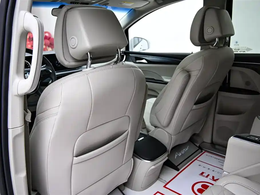 Buick GL8 2023 ES Landmaster Comfort фото 16