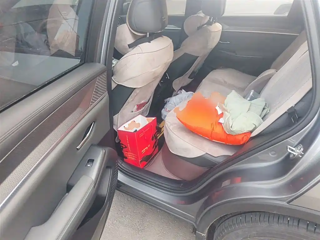 BYD Song Pro New Energy 2025 2nd Generation Smart Drive Edition DM-i 75KM Leading Type фото 14
