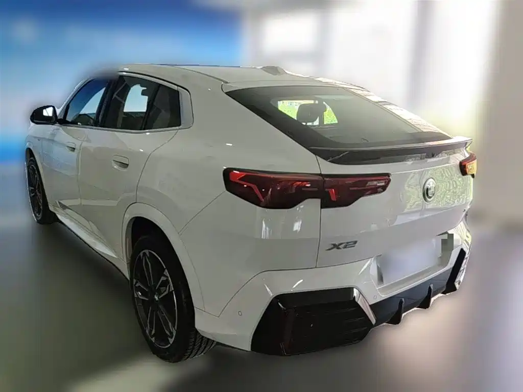 BMW X2 (Import) 2024 sDrive25i M Sport Package фото 9