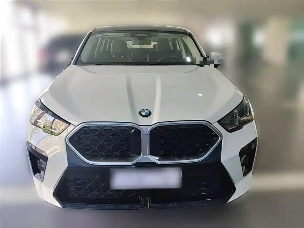 BMW X2 (Import) 2024 sDrive25i M Sport Package фото 5