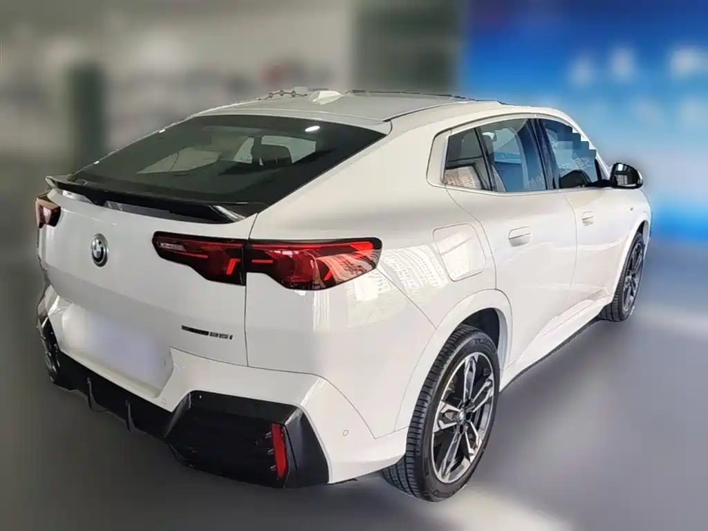 BMW X2 (Import) 2024 sDrive25i M Sport Package фото 12