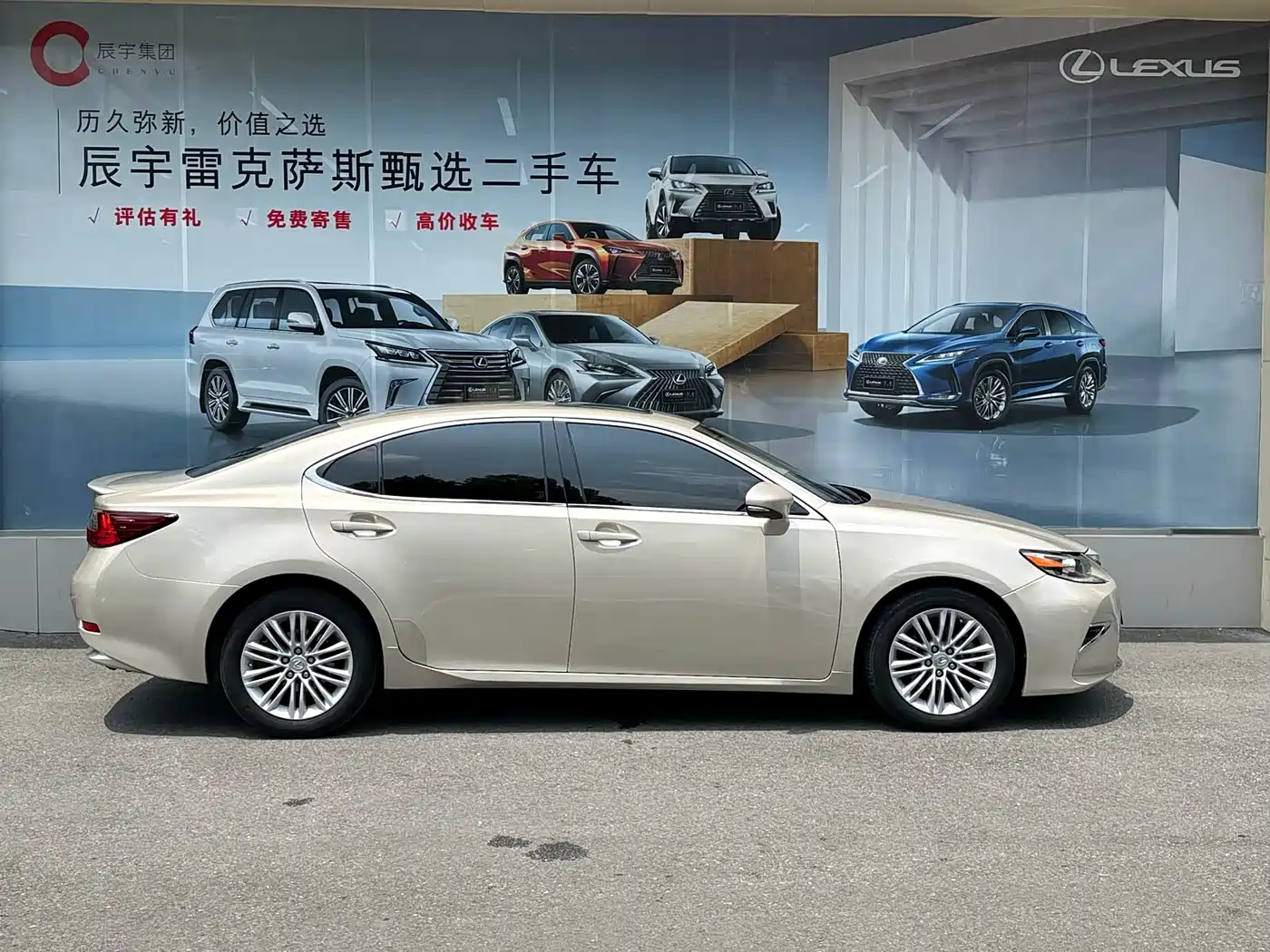 Lexus ES 2015 200 Elite Edition фото 4