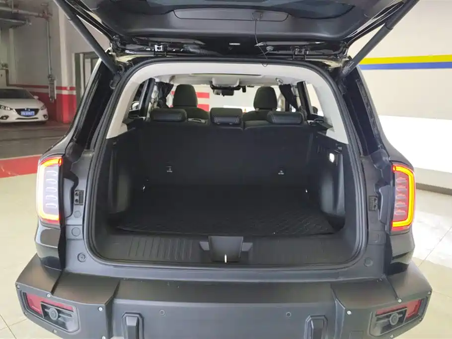Haval Big Dog 2024 2.0T DCT Chinese Rural Dog Edition фото 4