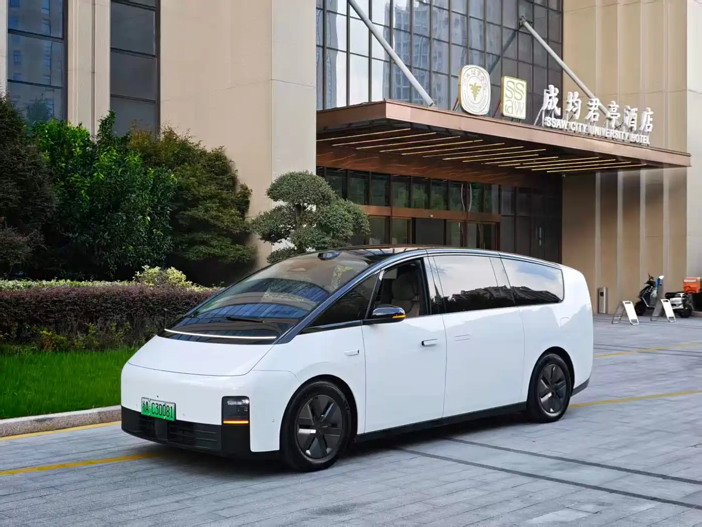 Li Auto MEGA 2025 2025 Model Home Family Special Edition