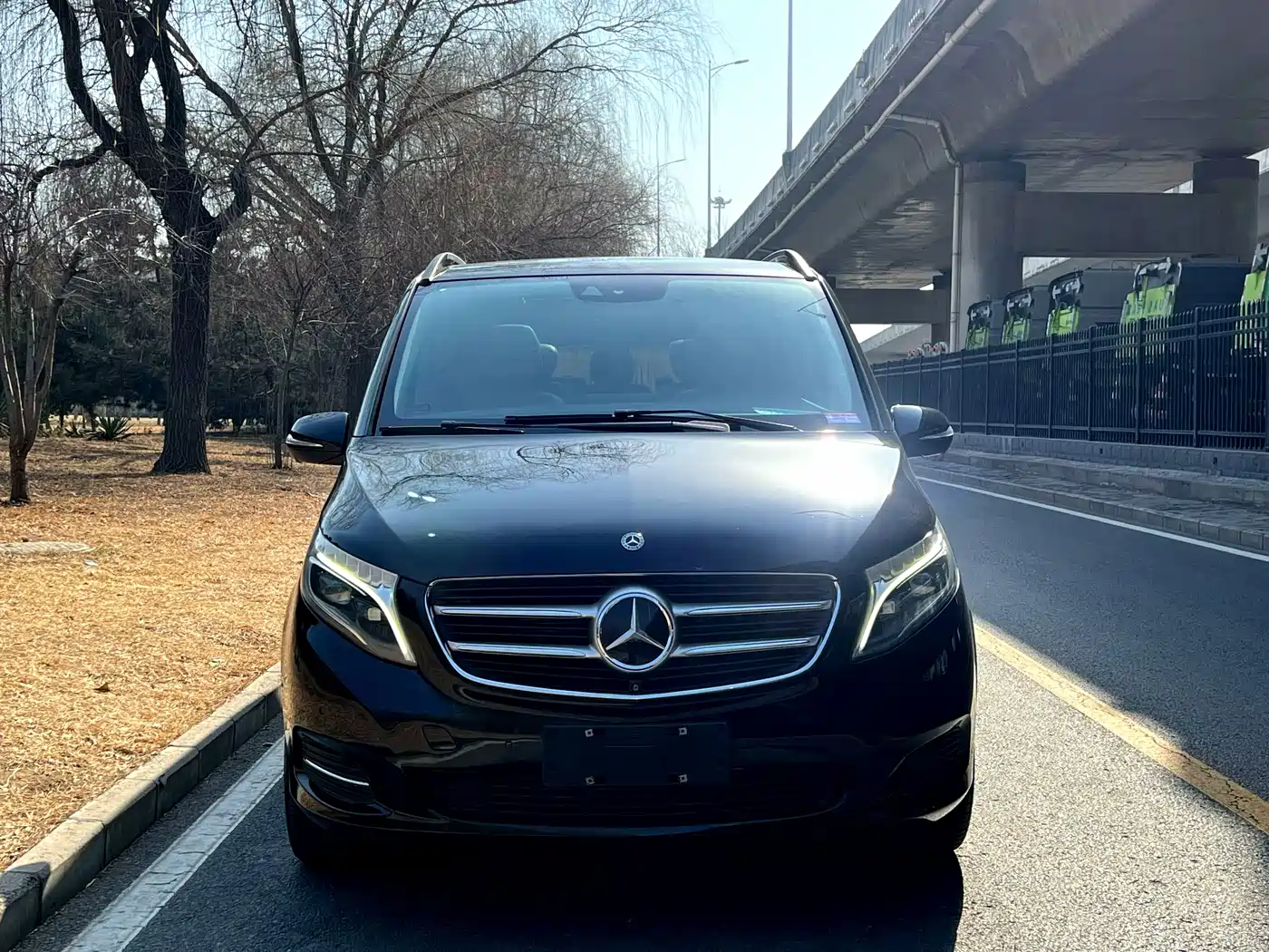 Mercedes-Benz V-Class 2017 Model V 260 Premium Edition фото 2