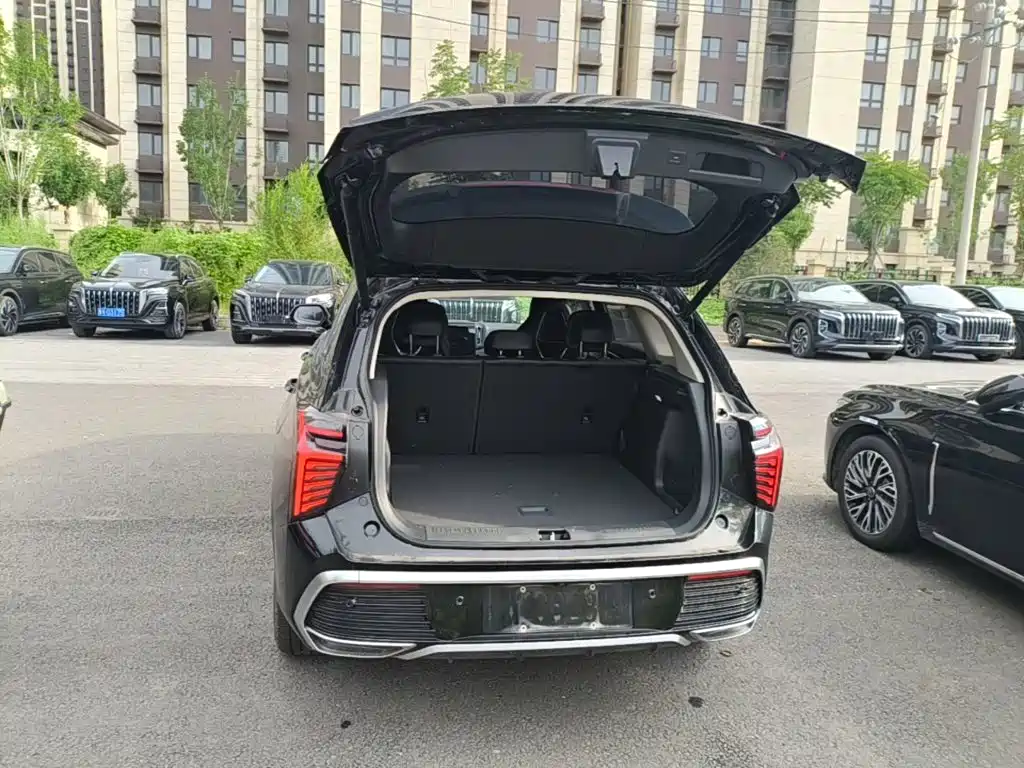 Hongqi HS3 PHEV 2024 2024 PHEV 115km Power Edition
