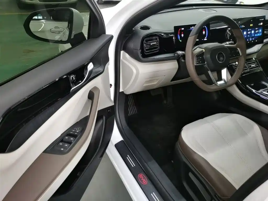 BYD Qin PLUS 2024 Glory Edition DM-i 55KM Leading фото 16