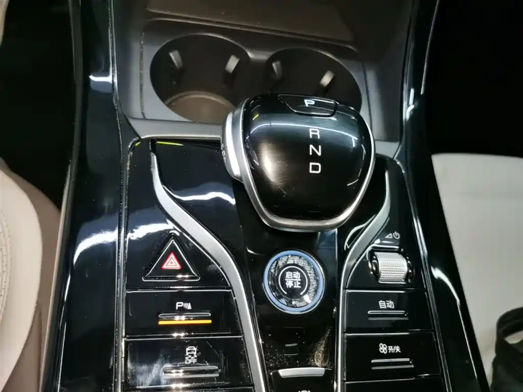 BYD Qin PLUS 2024 Glory Edition DM-i 55KM Leading фото 14
