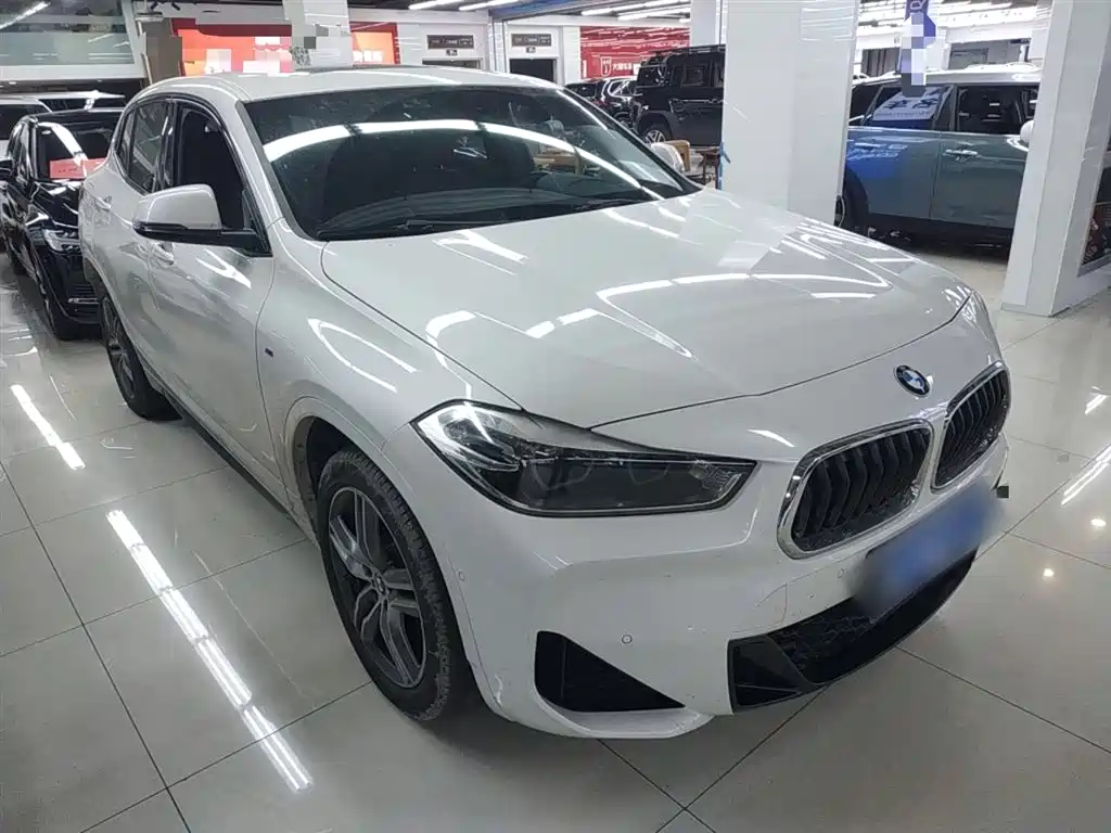 BMW X2 2020 sDrive25i Leading M Sport Package фото 22