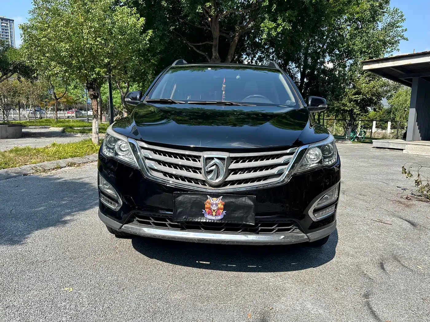 2017 Baojun 560