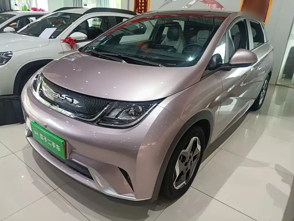 Фото 1 - BYD Dolphin