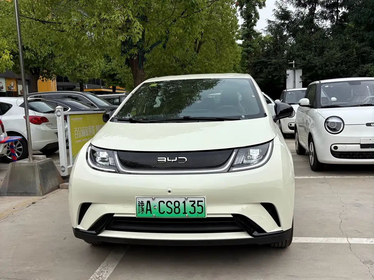 BYD Dolphin 2026 2025 420km Freedom Edition