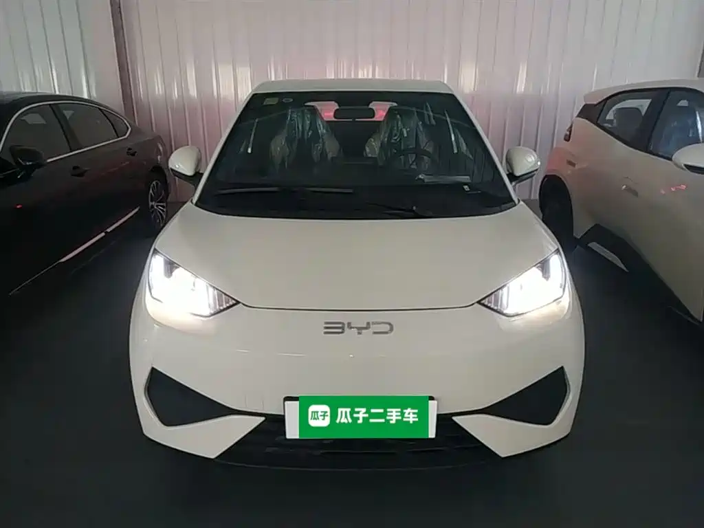 BYD Seagull 2026 2025 Smart Drive Edition 305km Vitality Version