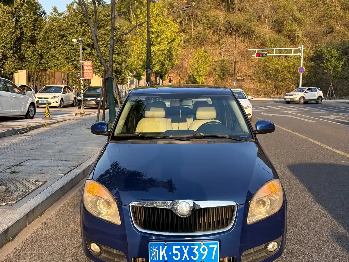 Škoda Fabia 2011 1.6L Automatic Crystal Edition фото 2