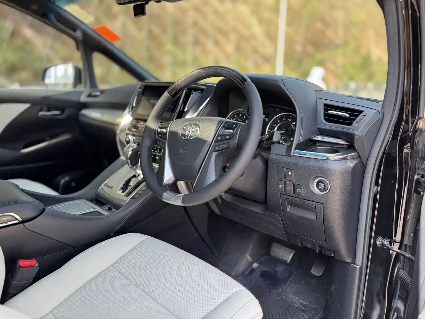 Toyota Alphard 2018 Facelift 3.5L Premium Edition фото 12