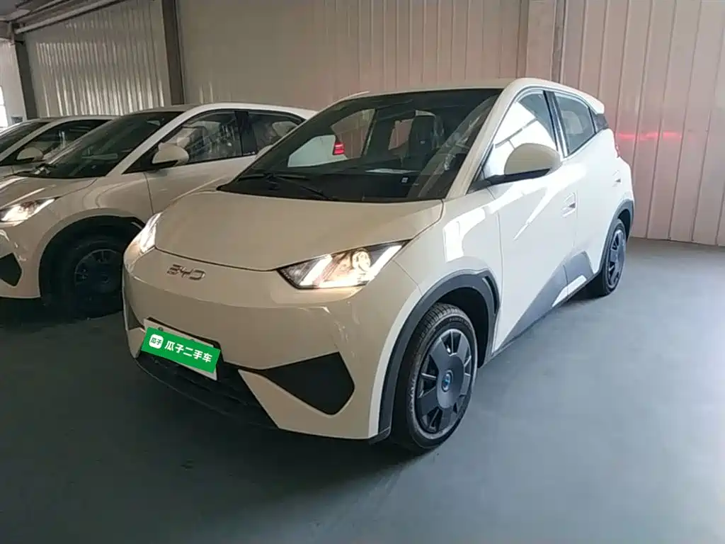 BYD Seagull 2026 2025 Smart Drive Edition 305km Vitality Version