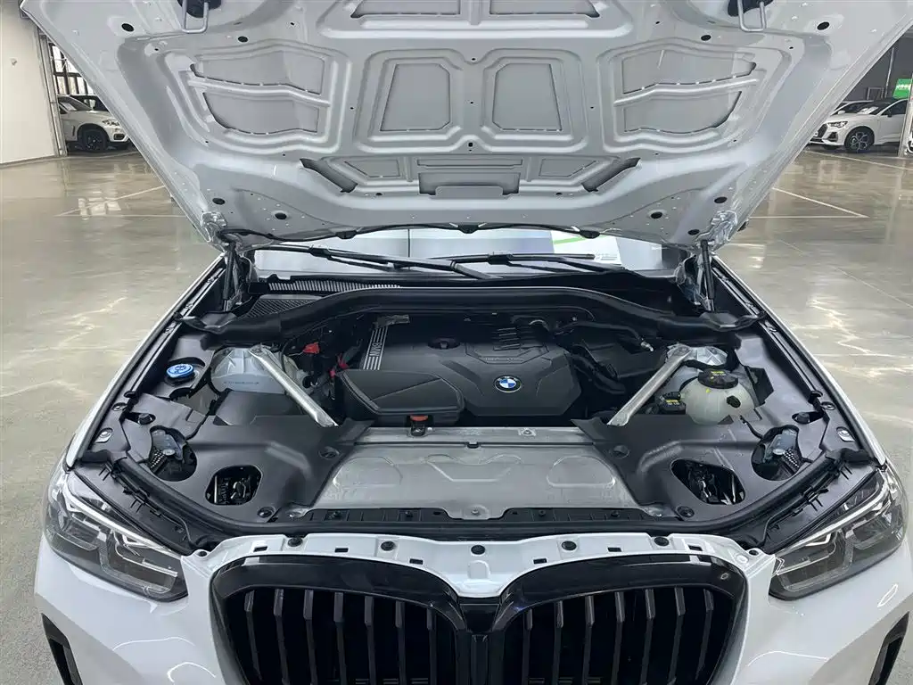 BMW X3 2022 xDrive30i Leading M Night Package фото 28