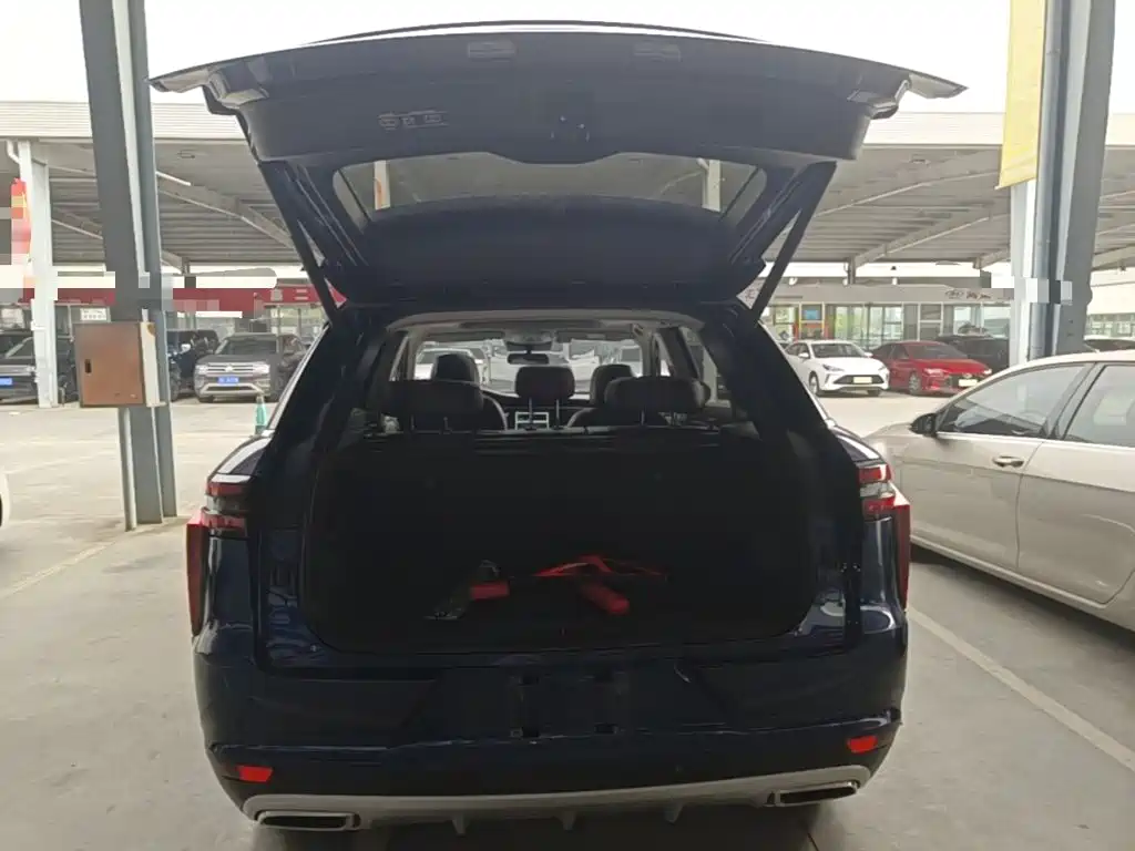 Venucia Star 2020 2020 260T Automatic 48V Mild Hybrid Turbo Starlight Edition