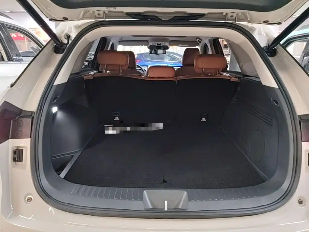 Фото 19 - Haval Xiaolong MAX