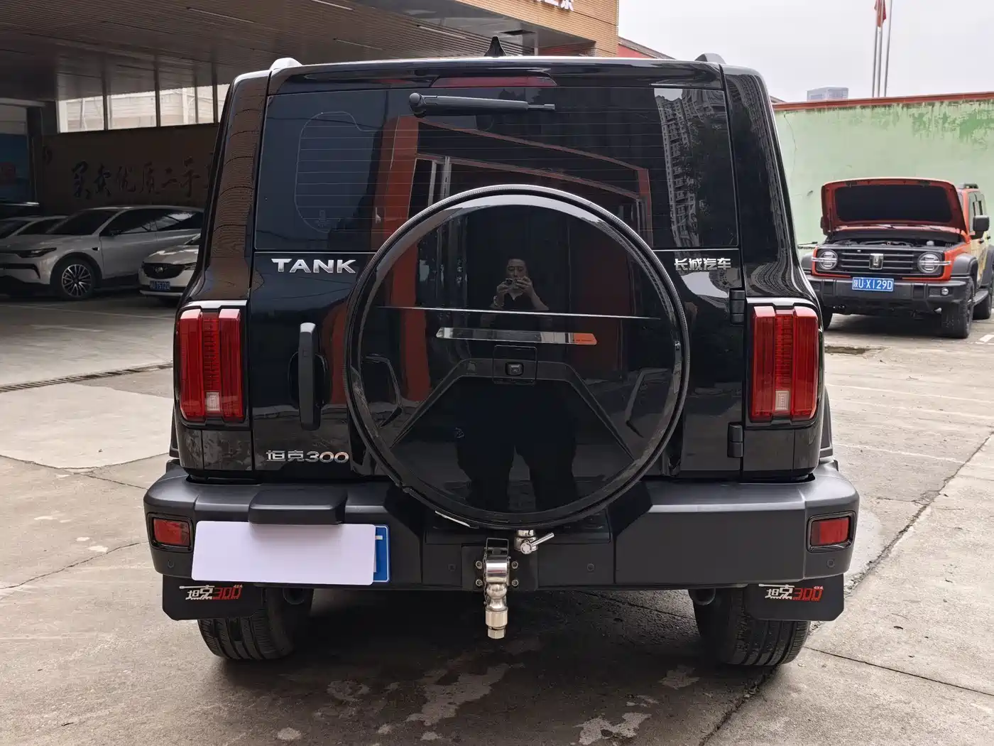 TANK 300
