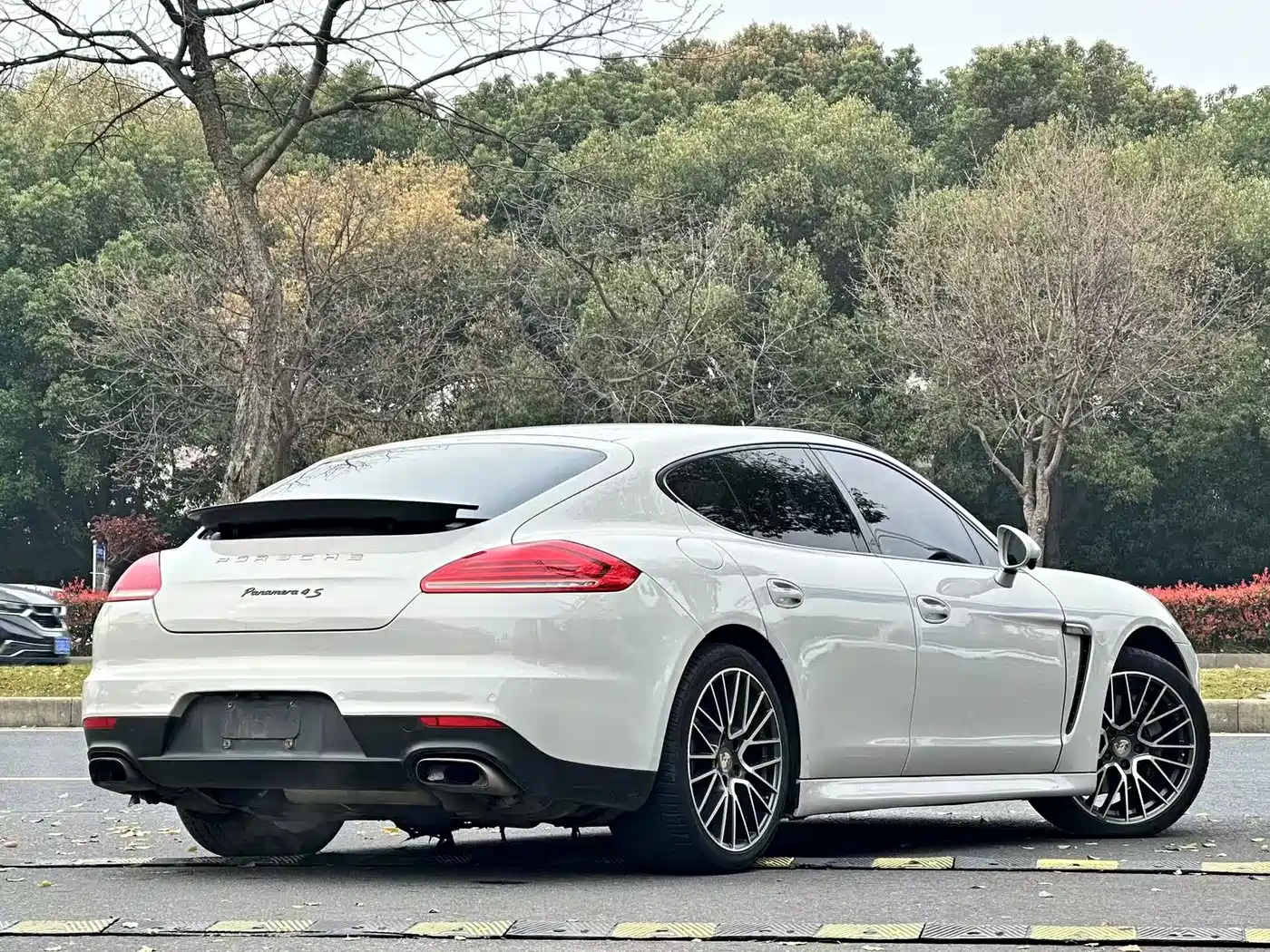 Porsche Panamera 2014 Panamera 3.0T фото 3