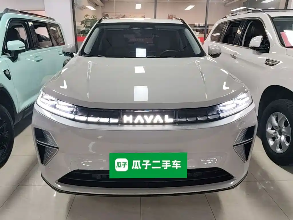 Фото 3 - Haval Xiaolong MAX