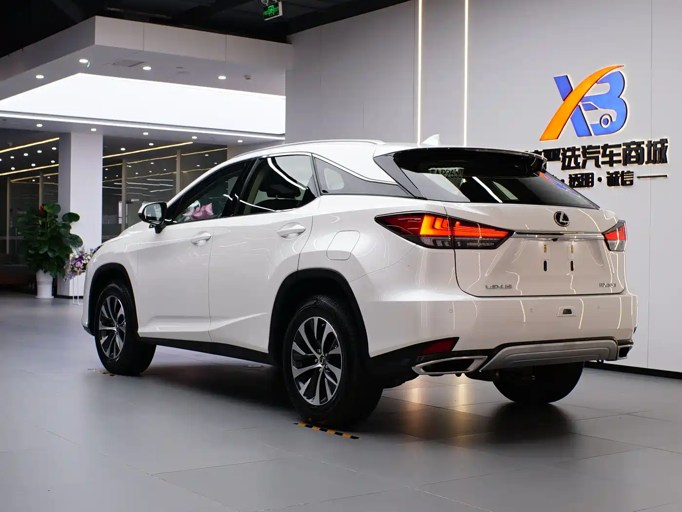 Lexus RX 2020 Facelift 300 2WD Comfort Edition фото 5