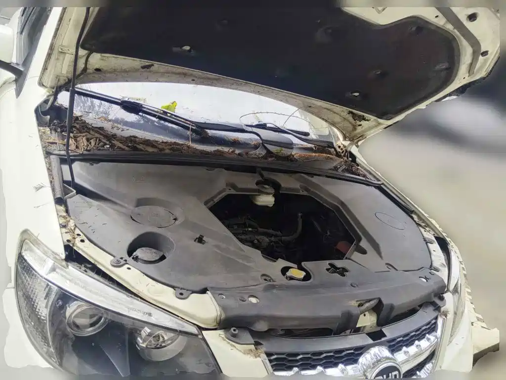 2015 BYD S6