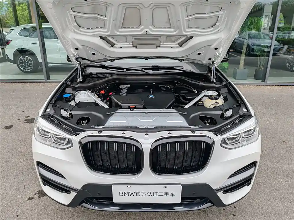 BMW X3 2020 xDrive25i Luxury Package фото 13