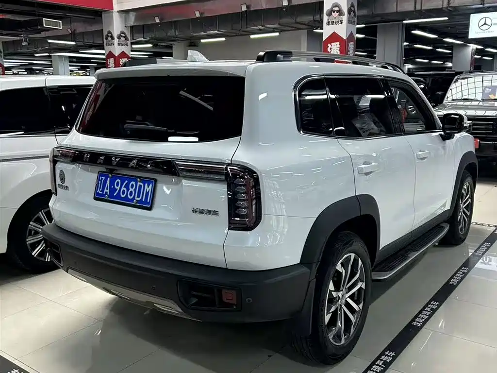 Haval Big Dog 2021 1.5T DCT 2WD Border Collie Edition фото 4
