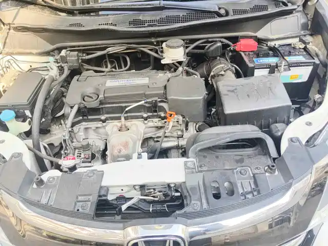 Honda Odyssey 2018 2.4L Smart Enjoy Edition — фото 3