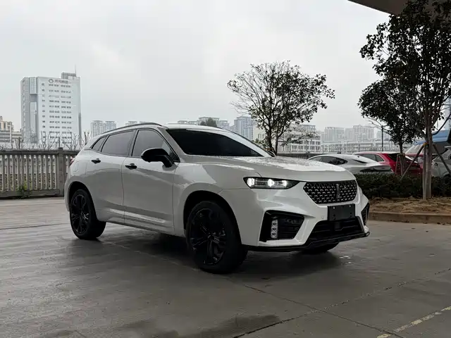 WEI PAI WEI BRAND VV7