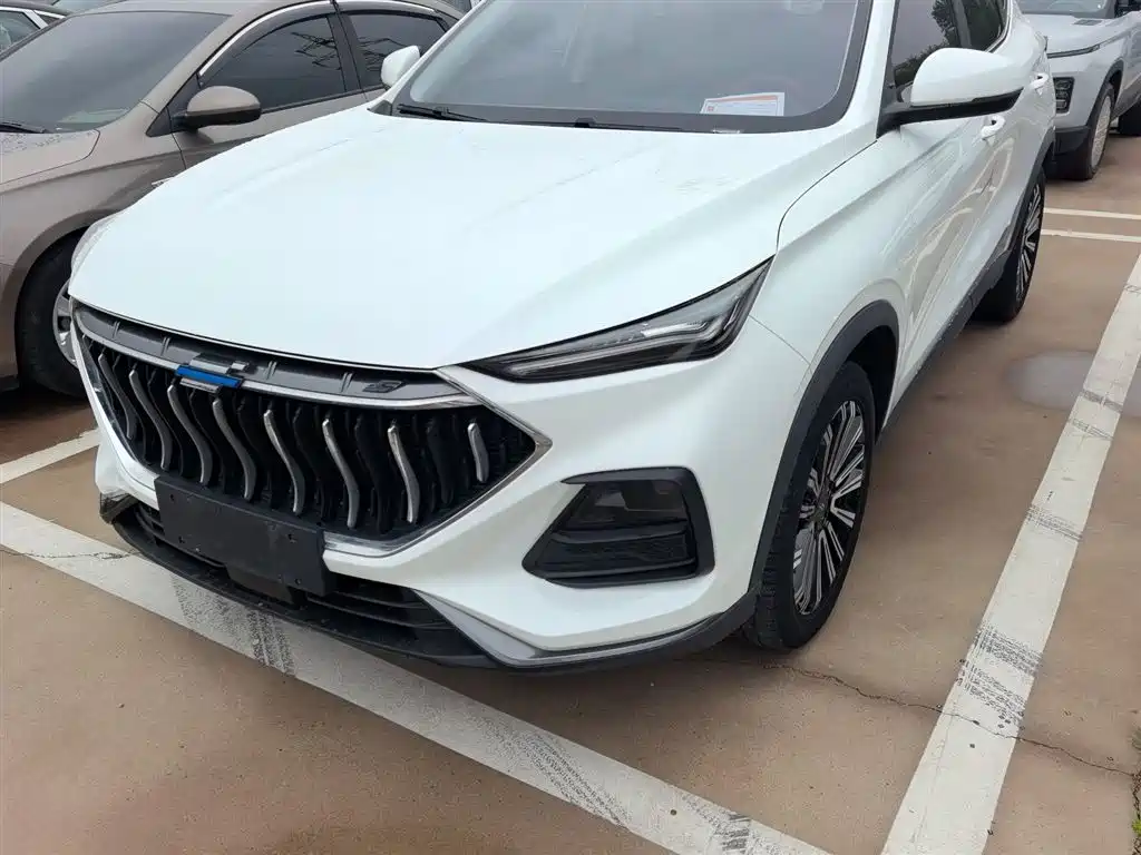 Фото 3 - Changan Oshan Changan Oushang X5