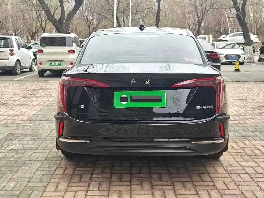 Hongqi HONGQI E QM5