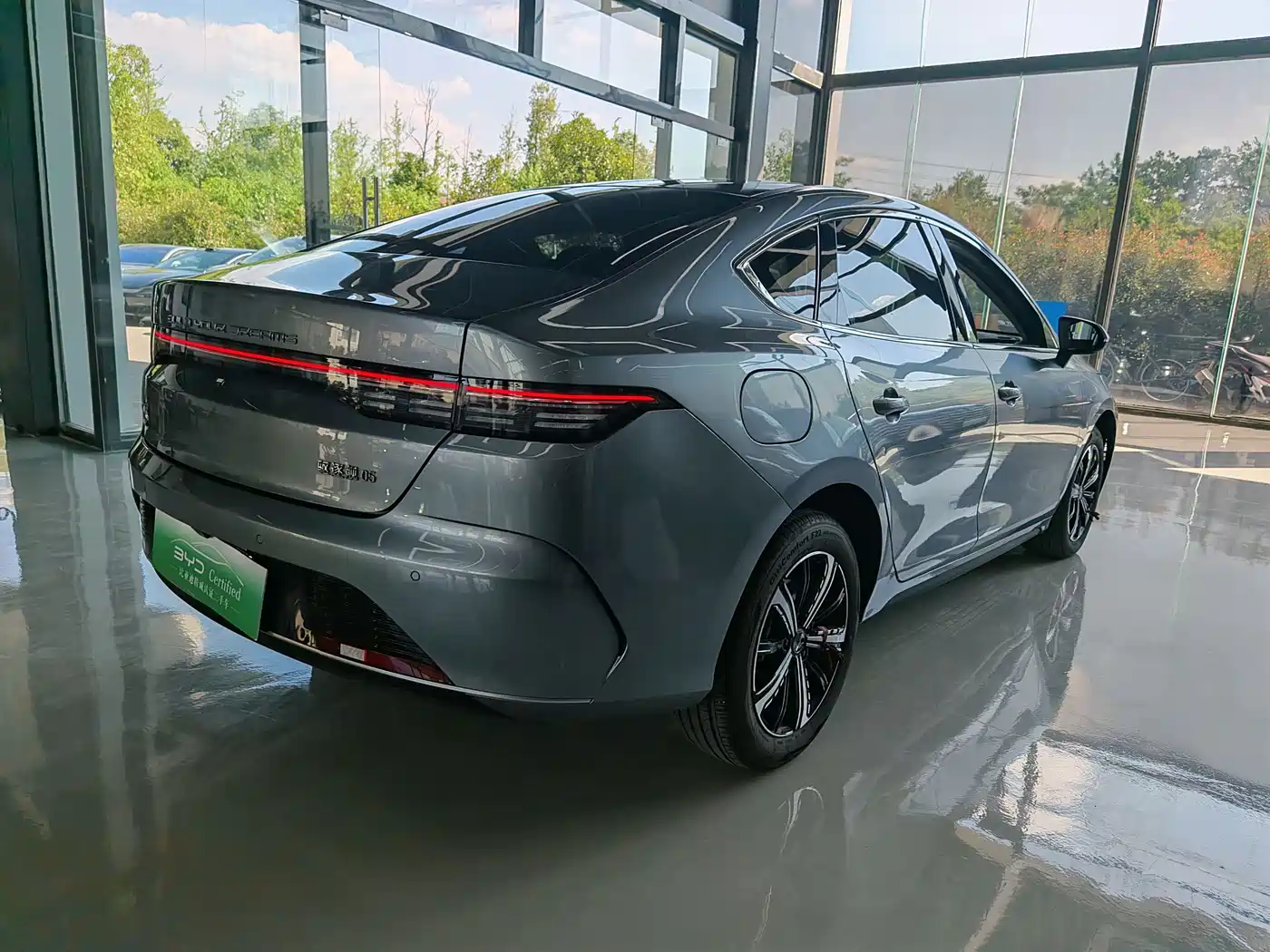 BYD Destroyer 05 2023 Champion Edition DM-i 120KM Premium фото 12