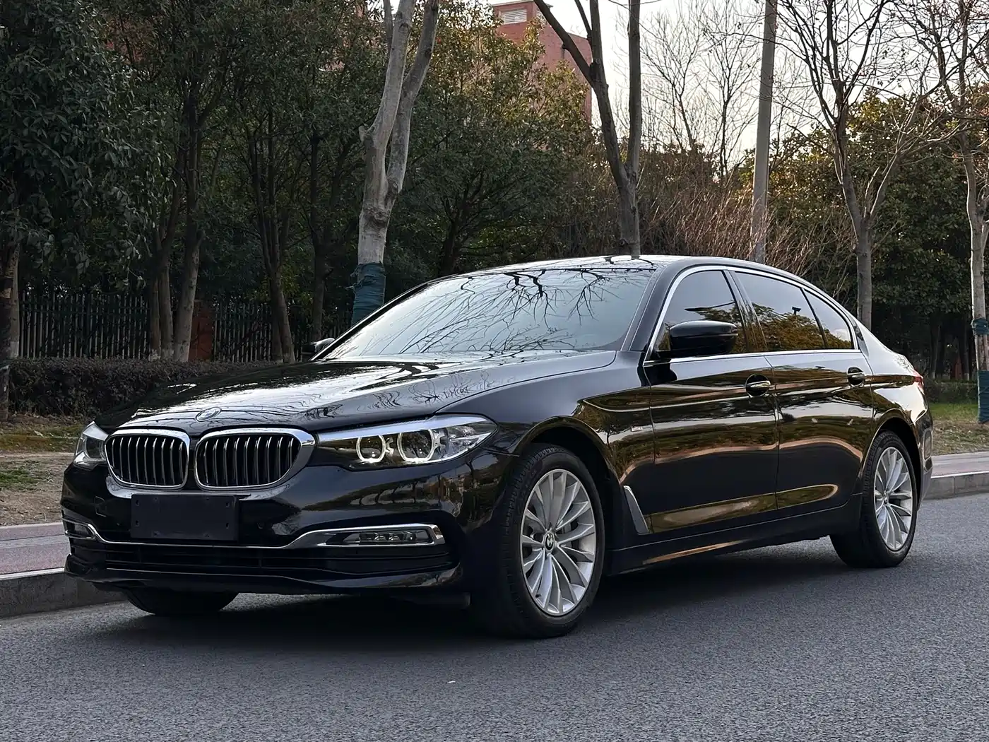 BMW 5 Series 2018 530Li xDrive Luxury Package