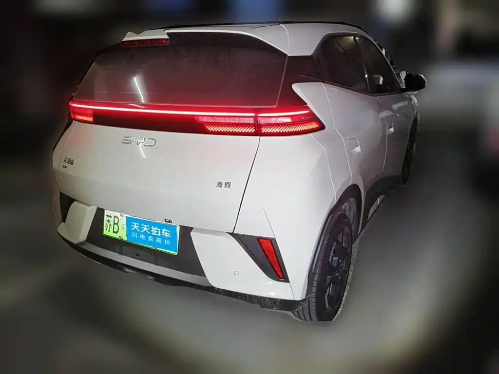 BYD Seagull 2026 2025 Smart Drive Edition 405km Free Edition