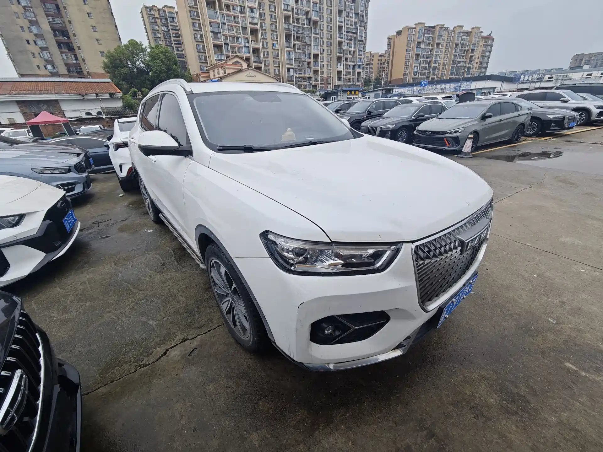 صورة 3 - Haval H6